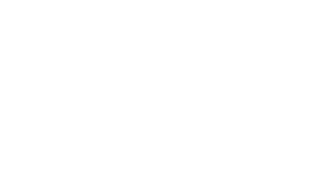 20th anniversary deal bonus 20 points on orders over $100