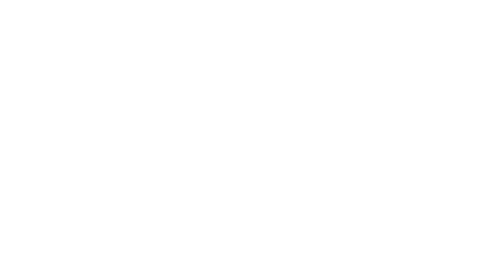 New Rice upgrade, Beef bowl now available.