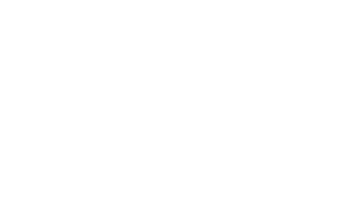 20th anniversary deal bonus 20 points on orders over $100