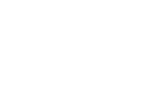 New Rice upgrade, Beef bowl now available.