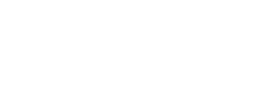 20th anniversary deal bonus 20 points on orders over $100