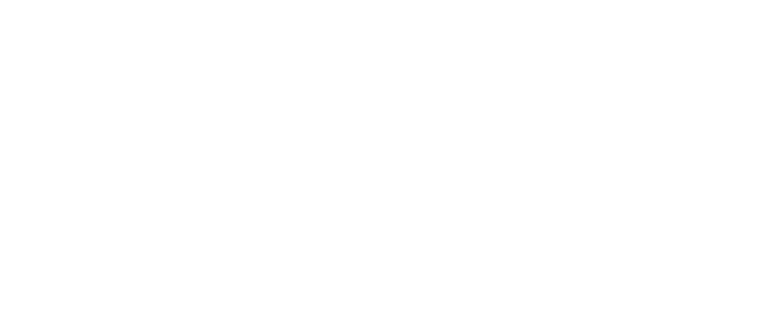 New Rice upgrade, Beef bowl now available.